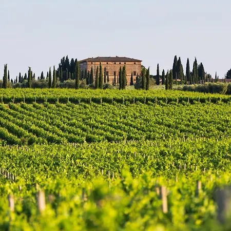 Antico Brunello